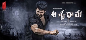 Aswathama (2020) Telugu 720p HDRip x264 AAC . Hindi Sub