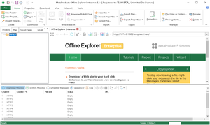 MetaProducts Offline Explorer Enterprise v8.2.0.4914 Multilingual Portable