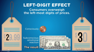 Lynda - Universal Principles of Design