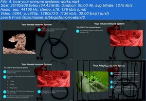 Udemy - Boost your immune systeme - Course with certification