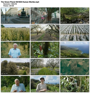 The Green Planet S01E05 Human Worlds (1280x720p HD, 50fps, soft Eng subs)