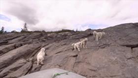 Arctic Secrets S01E04 Fall on the Tundra 720p WEB h264-CAFFEiNE [eztv]