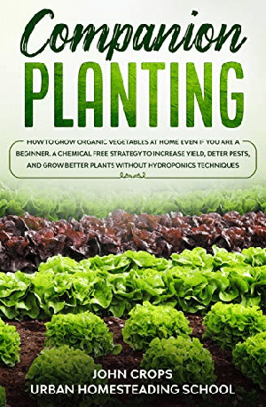 [ FreeCourseWeb ] Companion Planting - How to Grow Organic Vegetables at Home Even if You Are a Beginner