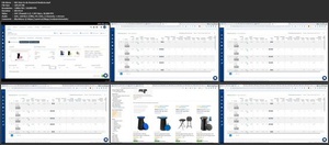 Udemy - Amazon FBA Course - How to Sell on Amazon with Tight Budget