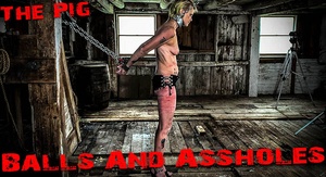 Bm - Pig balls and ass holes