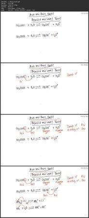 [ DevCourseWeb ] Udemy - Acids & Bases