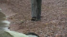 Historys Greatest Hoaxes S01E02 The Loch Ness Monster 720p WEB x264-WEBTUBE [eztv]