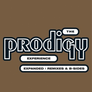 The Prodigy - Experience Expanded (Remastered) (Remixes & B-sides) (2022) FLAC [PMEDIA] ⭐️