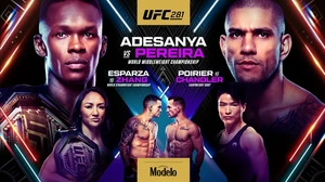UFC.281.PPV.Adesanya.vs.Pereira.720p.HDTV.x264-WH