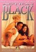 Action.in.Black.1993.DVDRip.x264-worldmkv