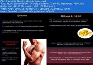 [ FreeCourseWeb ] Udemy - Sports Nutrition- Body Building Like a Champion