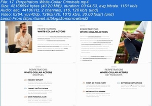 Udemy - Fundamentals of Fraud Prevention and Monitoring