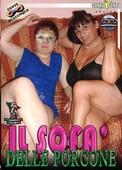 IL.SoFa.deLLe.porcone.DVDRip.x264-worldmkv