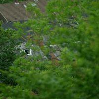 Stacey.Dooley.Investigates.S12E02.WEBRip.x264-PHOENiX