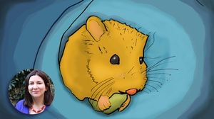 Udemy - Adobe Illustrator - Create a Quick & Easy Unique Illustration [Course Drive]