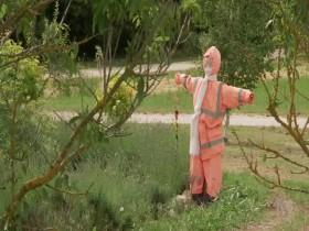 Gardening Australia S31E16 480p x264-mSD [eztv]