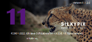 SILKYPIX Developer Studio 11.1.2.0 + fix {PROAC12}