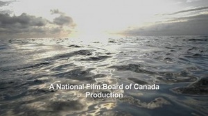 Bluefin (2016) [WEBRip] [1080p] [YTS] [YIFY]