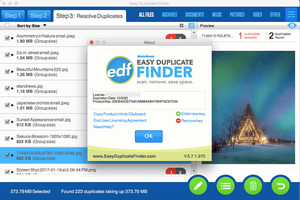 Easy Duplicate Finder v7.9.1.24 (x64) + Fix {CracksHash}