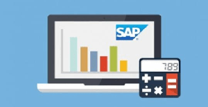 [ FreeCourseWeb ] Udemy - Learn SAP Financial Accounting - Online Training