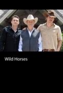 Wild Horses (2015) [BluRay] [1080p] [YTS] [YIFY]