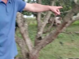 Matt Tebbutts South Africa S01E03 Cows 480p x264-mSD [eztv]