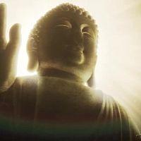 Knights of the Zodiac - Saint Seiya - Battle for Sanctuary - 12v2 (480p)(Multiple Subtitle)(4B9E326A)-Erai-raws[TGx]