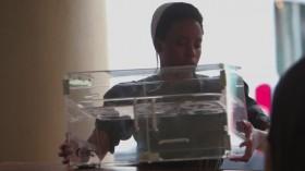 Return to Amish S05E05 WEBRip x264-TBS [eztv]