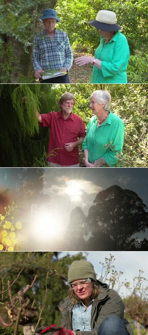 Gardening.Australia.S33E19.WEBRip.x264-XEN0N