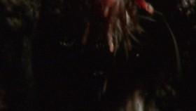 Absurd Planet S01E01 720p WEB x264-ASCENDANCE [eztv]