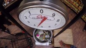 Guys Grocery Games S23E12 Clearance Wars iNTERNAL 720p WEB x264-ROBOTS [eztv]