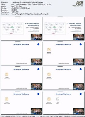 Udemy - Case-Based Business Problem-Solving