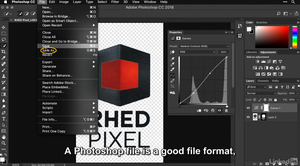 Lynda - Motion Graphics for Video Editors Creating Animated Logos
