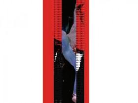 The Rise of Graffiti Writing From New York To Europe S02E02 STYLE WARS SEEN DOCU 480p x264-mSD [eztv]