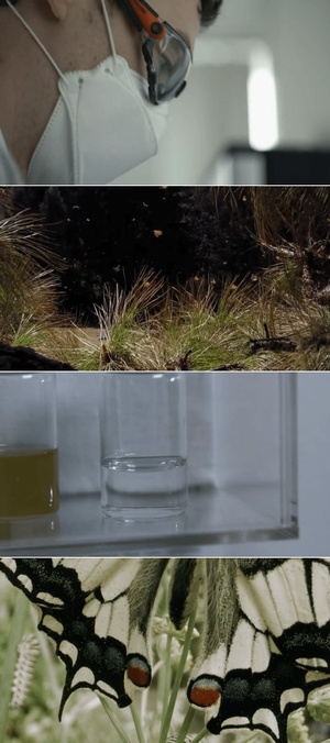 NOVA.S49E02.Butterfly.Blueprints.720p.x265-ZMNT