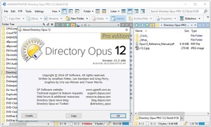 Directory Opus Pro v12.29 Build 8272 (x64) Multilingual + Crack