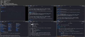 Ethical Hacking Masterclass - From Zero to Binary Deep