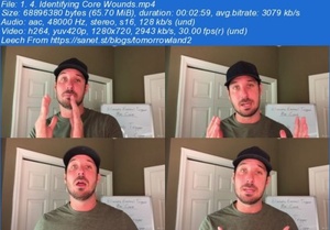 Udemy - How to Eliminate Emotional Triggers and take back your LIFE