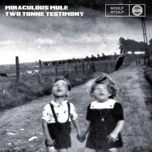 [blues-rock, psychedelic rock] (2017) Miraculous Mule - Two Tonne Testimony [FLAC] [DarkAngie]