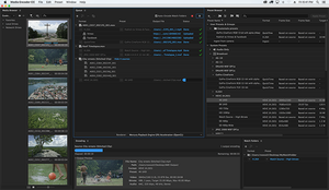 Adobe Media Encoder 2020 v14.3.2.37 (x64) Multilingual + Pre-Activated [FTUApps]