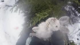 Alone S07E08 Up in Smoke XviD-AFG [eztv]