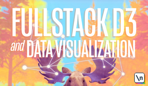 NewLine | Fullstack D3 Masterclass [FCO]