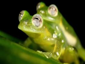 Sex Explained S01E02 480p x264-mSD [eztv]