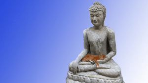 [ FreeCourseWeb ] Udemy - Zen Buddhism 101 - Awaken Your Natural Joy