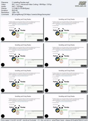 Udemy - Complete Hands On Pandas Bootcamp with a Real World Project