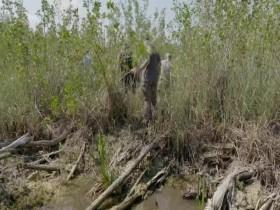 Guardians of the Glades S01E05 Enter the Super Snake 480p x264-mSD [eztv]