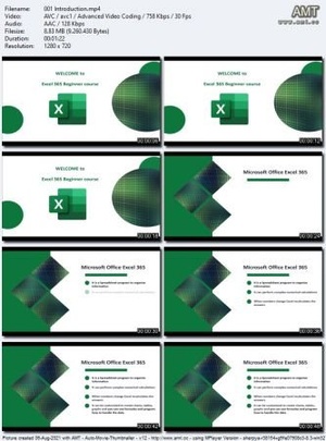 Excel Microsoft 365 Office Beginner course