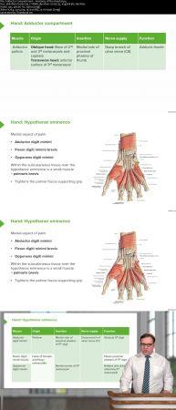 [ FreeCourseWeb ] Udemy - Upper Limb Anatomy