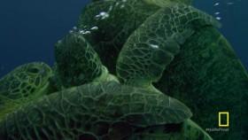 Hostile Planet S01E02 Oceans 720p HDTV x264-CRiMSON [eztv]