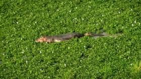 Rivers Of Life S01E01 WEB h264-LiGATE [eztv]